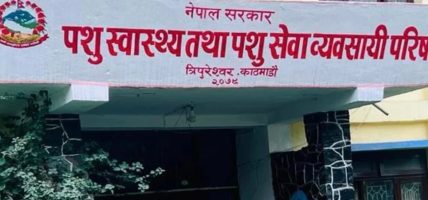 पशु वधशाला तथा मासु जाँच ऐन कार्यान्वयनका लागि कार्यदल गठन पशु वधशाला तथा मासु जाँच ऐन कार्यान्वयनका लागि कार्यदल गठन