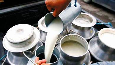 बिरौटामा दूध सङ्कलन केन्द्र स्थापना