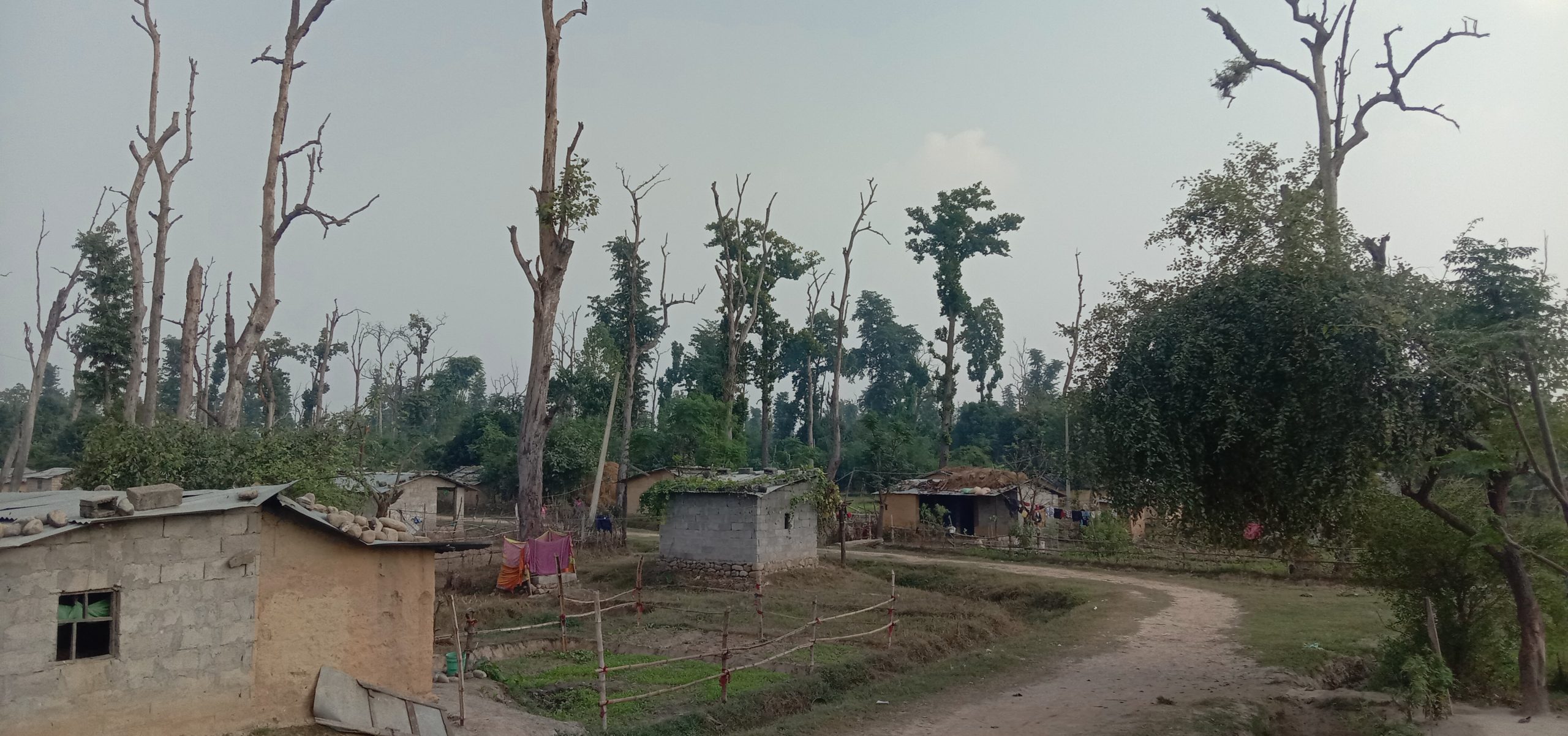२० वर्षदेखि सुकुम्बासीको प्रश्न- जग्गा कहिले पाइन्छ ?