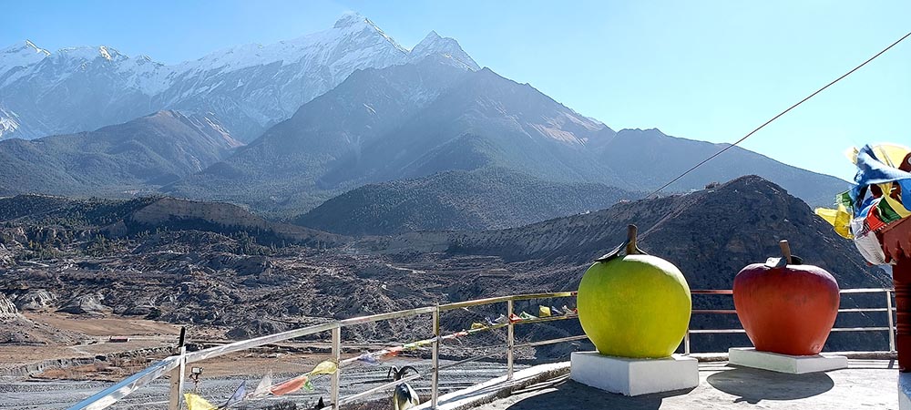 मुस्ताङको झोङ न घाङ ‘शान्ति पार्क’ मा स्याउको प्रतिमा