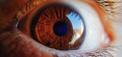 लहानमा निःशुल्क आँखा जाँच शिविर सञ्चालन