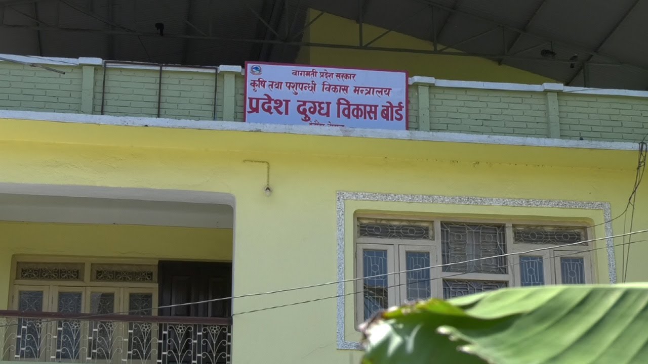 बागमती प्रदेश दुग्ध विकास बोर्डको उपाध्यक्षमा हरिप्रसाद पौडेल नियुक्त