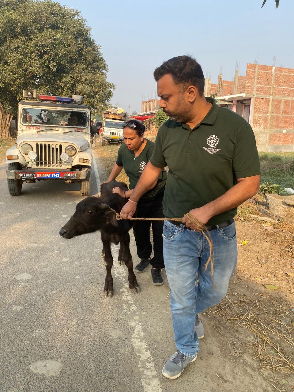 गढिमाईमा पशु बली जारी, भारतीय सिमामा रोकिए सयौं पशु चौपाया