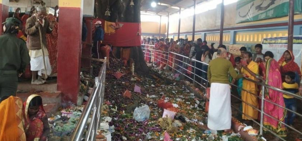 धनुषाधाममा मकर मेला