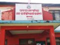‘अटोमेटिक’ प्रविधिबाट नर्सरीमा सिँचाइ
