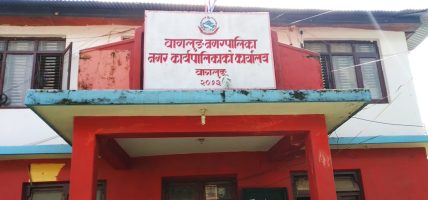 ‘अटोमेटिक’ प्रविधिबाट नर्सरीमा सिँचाइ