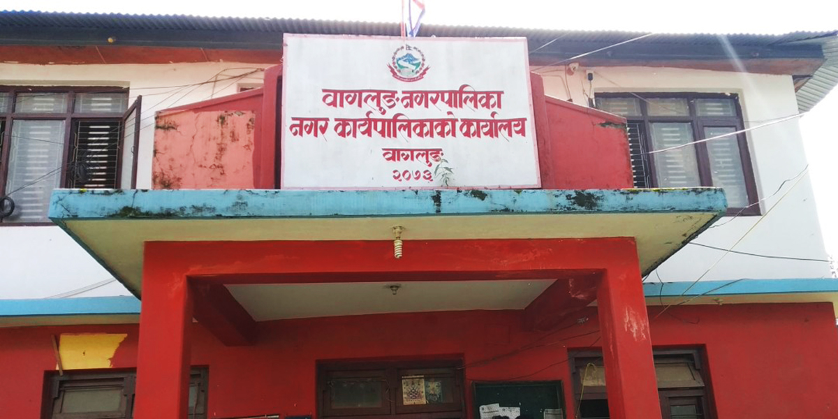 ‘अटोमेटिक’ प्रविधिबाट नर्सरीमा सिँचाइ