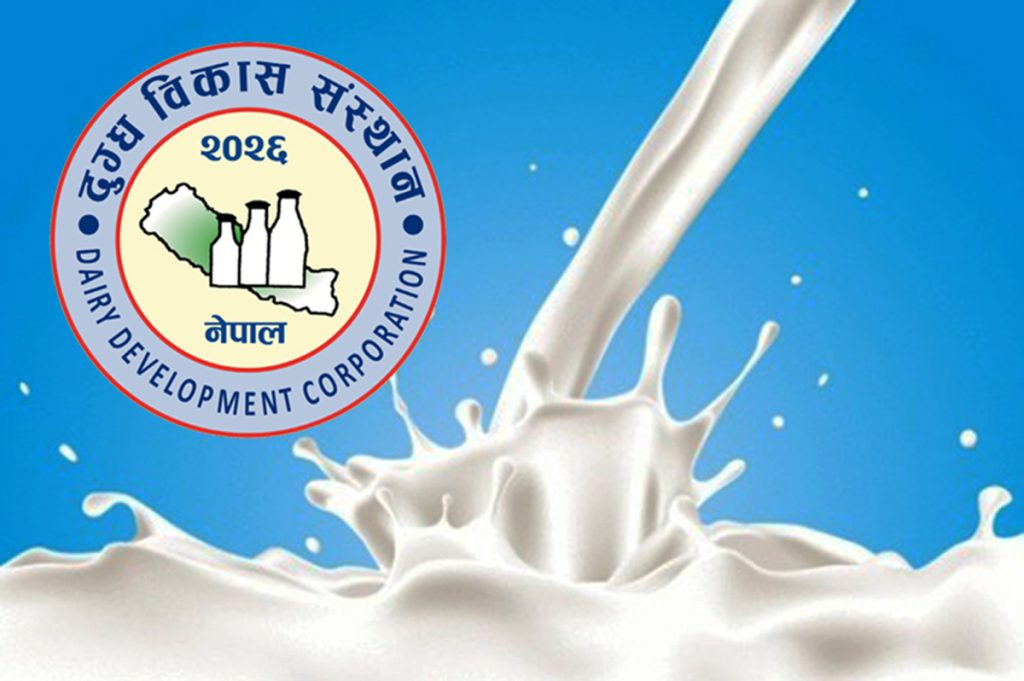 ‘डिडिसी’बाट सित्तैमा दूध–घिउ खाने व्यवस्था तत्काल रोक्न कृषिमन्त्रीको निर्देशन