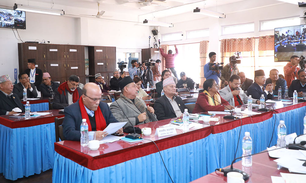 सिमेन्टमा भएको मूल्यवृद्धि तत्काल नियन्त्रण गर्न संसदीय समितिको निर्देशन