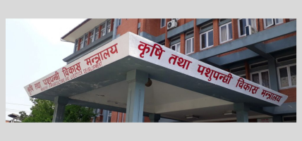 सुदूरपश्चिम प्रदेशका २६ पालिकालाई रासायनिक मल उठाउन अनुरोध
