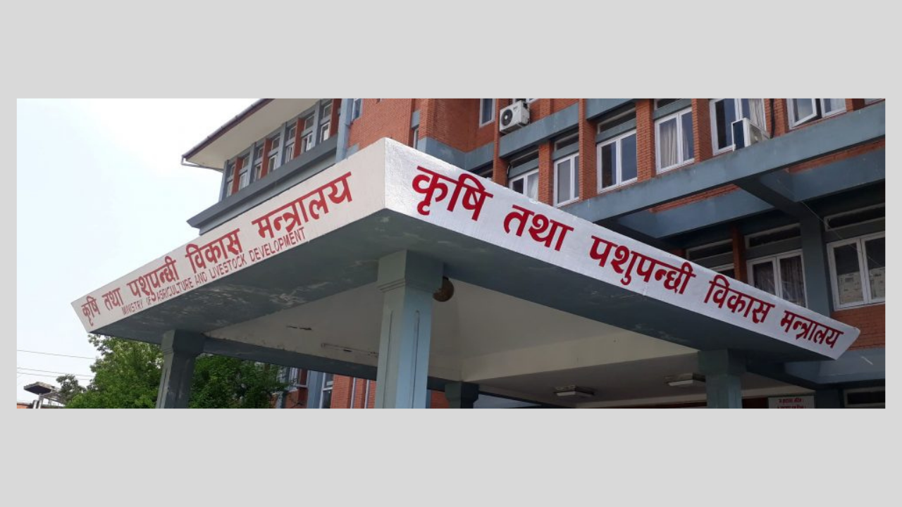 खाद्यसुरक्षा र खाद्य अधिकार नीतिको प्रभावकारी कार्यान्वयनमा जोड