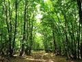 कोरियाबाट फर्केर व्यावसायिक कृषि फार्म सञ्चालन