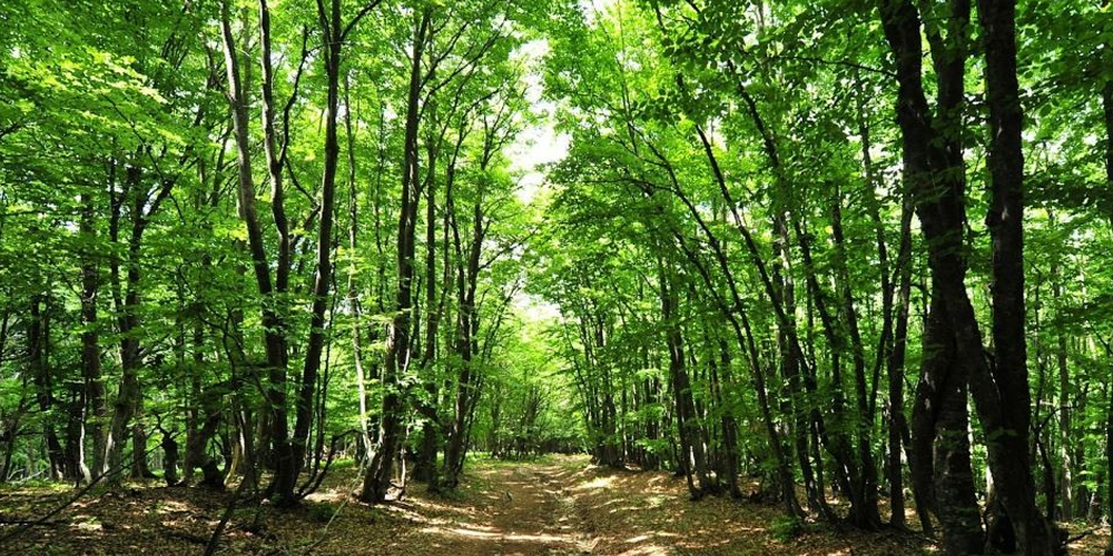 कोरियाबाट फर्केर व्यावसायिक कृषि फार्म सञ्चालन
