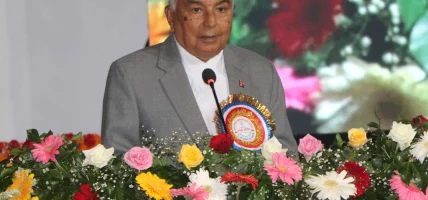 महिलामाथि हुने विभेद र हिंसाको अन्त्य गर्न सबैको पक्षको सक्रिय भूमिका आवश्यक छ : राष्ट्रपति