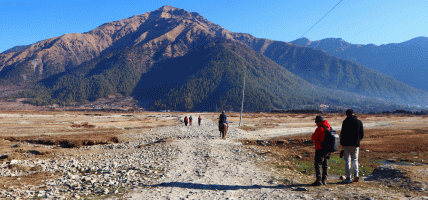 पर्खाल भत्किँदा पुरिएर बालकको मृत्यु