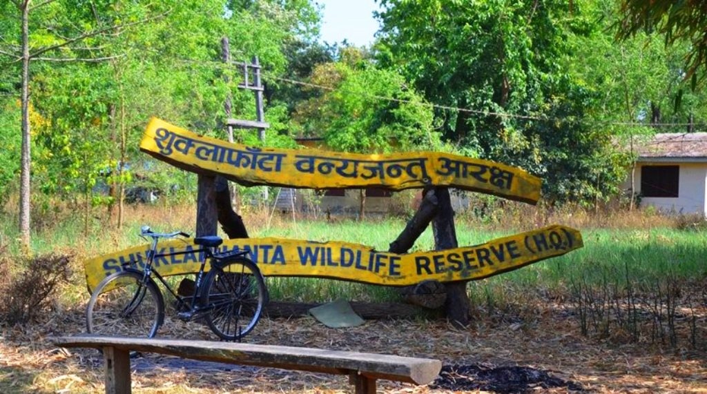सौराहामा पर्यटकको आगमन उत्साहजनक : व्यवसायी