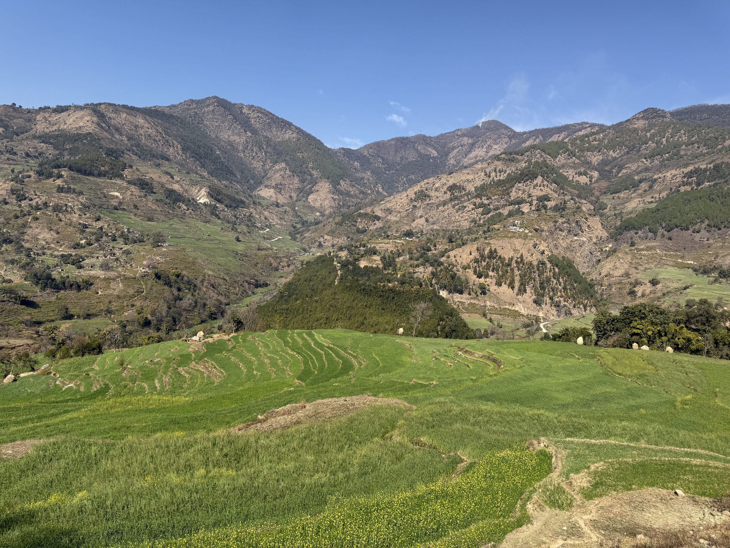 फाँटको हरियाली