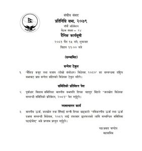प्रतिनिधिसभा बैठक, २ दिन देखी अबरूद्द संसद चल्ला त आज ?