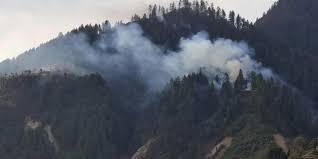 Efforts on to douse fire at Gorakhnath community forest in Kavre