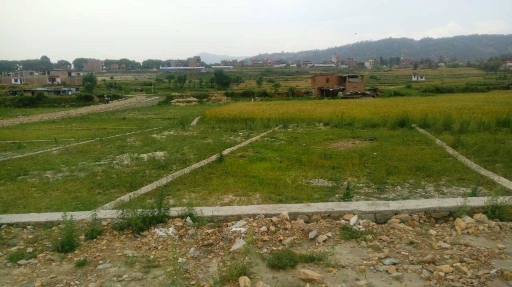 पाँच स्थानीय तहमा जग्गा नापजाँच थालियो