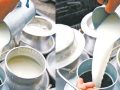 अझै चितवनका दुग्ध उत्पादक किसानले पाएनन् भुक्तानी
