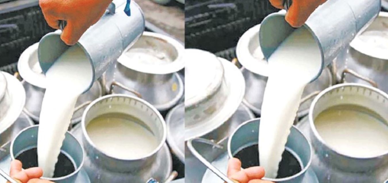 अझै चितवनका दुग्ध उत्पादक किसानले पाएनन् भुक्तानी