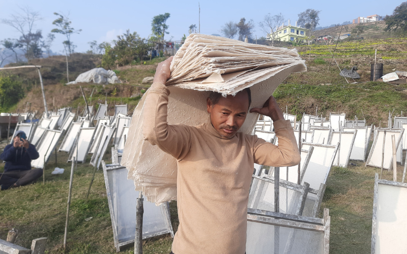 कागज उद्योगमा रमाउँदै पासाङ