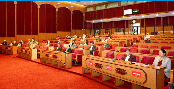 National Assembly: Government’s attention drawn to various contemporary issues