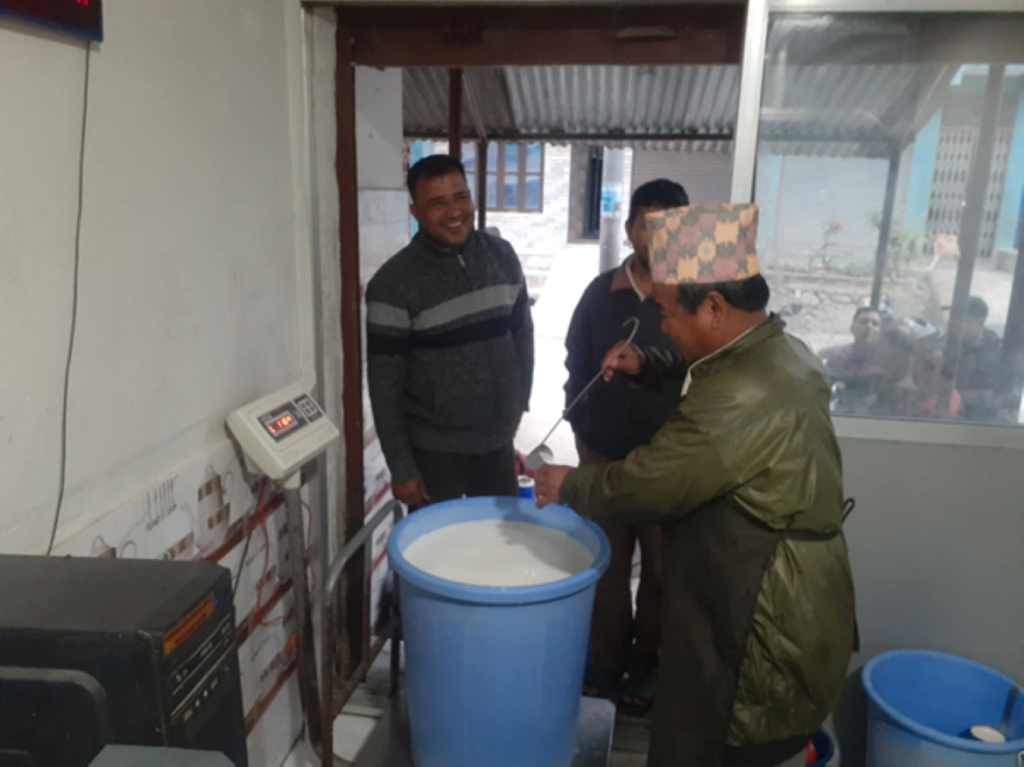 बेलबास निवासी लेखनाथ बाँस्तोलाको दूध बेचेर मासिक दुई लाख कमाइ !