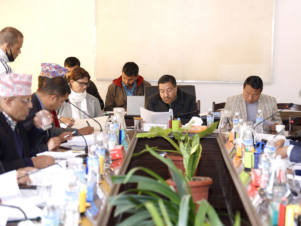 भन्सार विधेयकमाथि छलफल