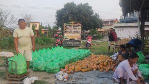 कावासोती –१७ का वडा सदस्य मीनबहादुर महतोको लोभलाग्दो मेवाखेती