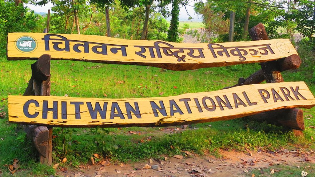 पचास हेक्टर वन क्षेत्रमा टाइगर सेन्चुरी