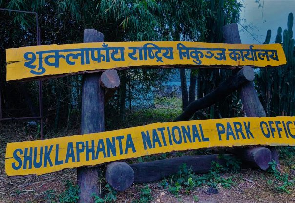 शुक्लाफाँटामा पर्यटक आवागमनमा वृद्धिः १३ दिनमा ६०० पर्यटक