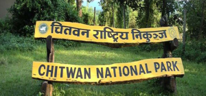 निकुञ्ज प्रभावितलाई एक करोड बढी राहत