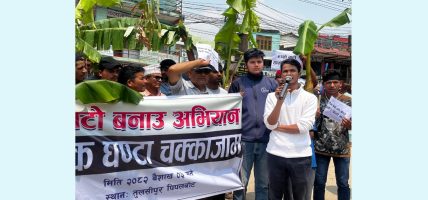 सडक निर्माणको माग गर्दै सडकमै रोपियो केराको बोट  