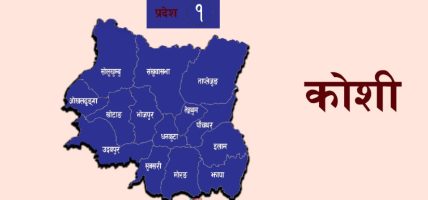 पर्यटन वर्ष कोशीमा ल्याएको उत्साह