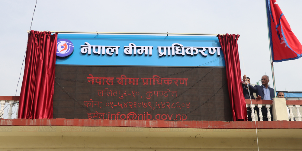 बिमा प्राधिकरणको कारबाहीमा ८ बिमा कम्पनी