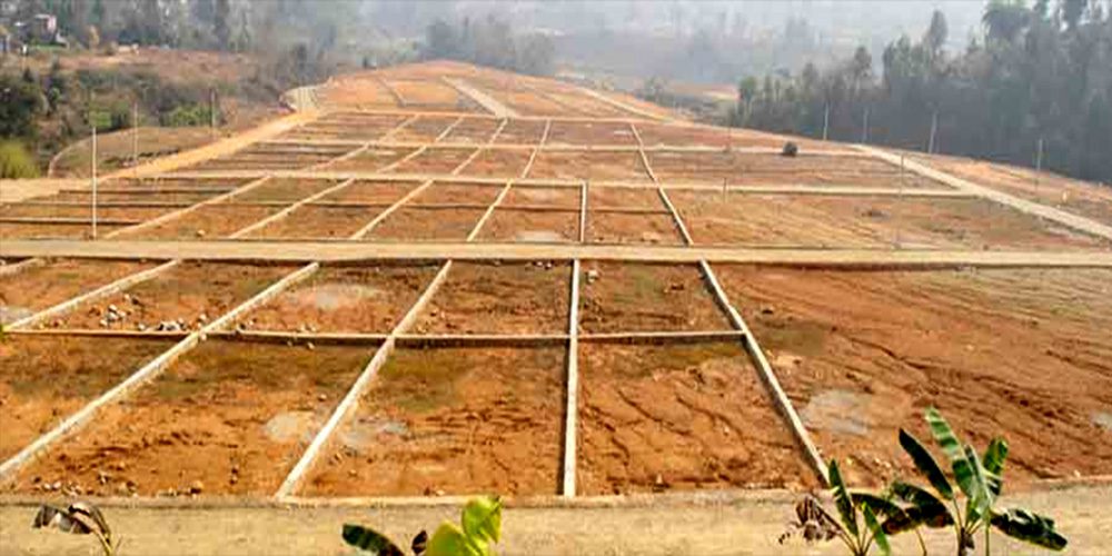 घरजग्गा कारोबारसँगै बढ्यो राजस्व,वैशाखमा ४ अर्ब ५४ करोड रुपैयाँ संकलन