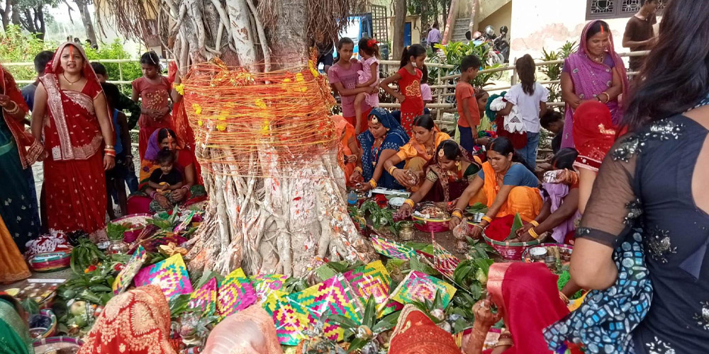 मिथिलानी सावित्री पर्वको तयारी गर्दै