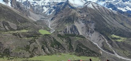 मकालु वरुण राष्ट्रिय निकुञ्जमा जेठ २५ देखि यार्सागुम्बा सङ्कलन खुला