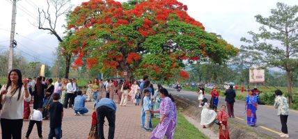ढकमक्क फुलेका गुलमोहरले पर्यटकलाई लोभ्यायो