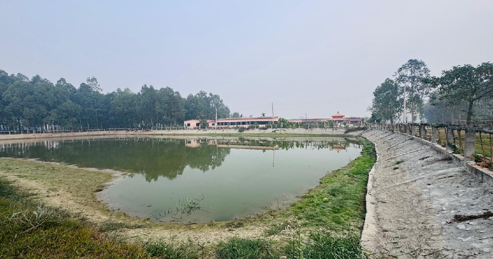 नमूना बन्यो गौरादहको ‘सहकारी खेती’ र ‘कृषि घरबास’