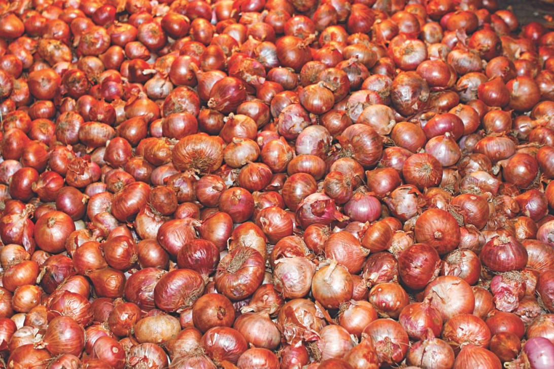 प्रतिकिलो पाँच रूपैयाँले बढ्यो सुकेको प्याज