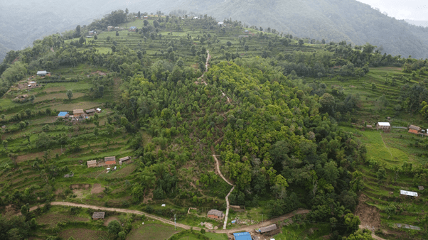 संस्कृति संरक्षणमा सक्रिय स्थानीय सरकार