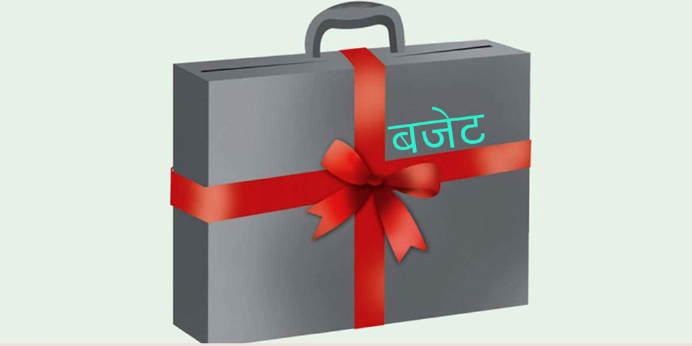 ‘आगामी बजेटले दीर्घकालीन सुधार तथा राष्ट्रिय अर्थतन्त्रमा गुणक प्रतिफल सृजना गर्नेछ’