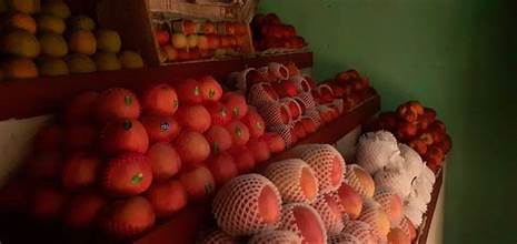 सङ्खुवासभामा तरकारी तथा फलफूल पसल अनुगमन