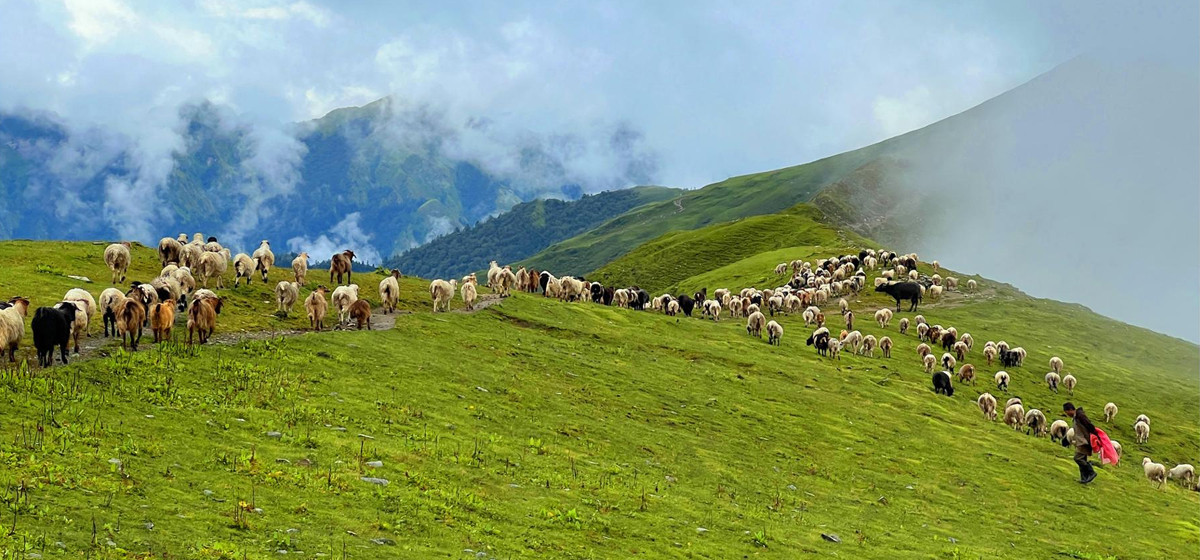 पदयात्रका लागि उत्कृष्ट गन्तव्य बन्दै ‘बुकीपाटन’