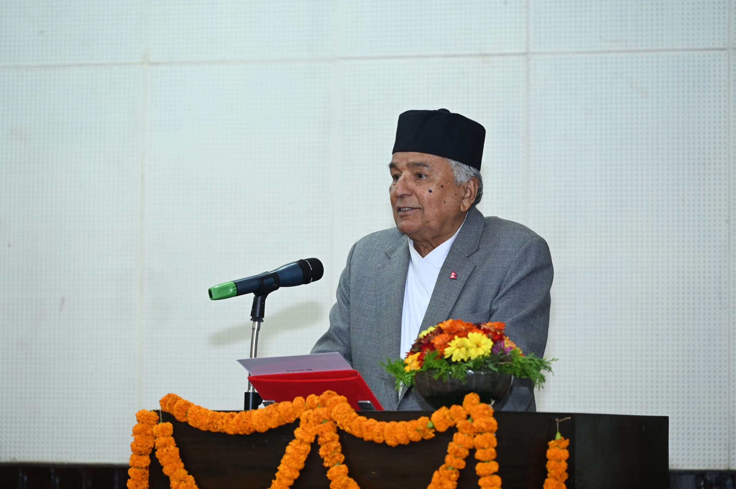 संवैधानिक परिषद् विधेयक राष्ट्रपतिबाट प्रतिनिधिसभामा फिर्ता