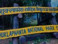 निकुञ्ज घुम्ने बाह्य पर्यटक घटे, आन्तरिक बढे निकुञ्ज घुम्ने बाह्य पर्यटक घटे, आन्तरिक बढे