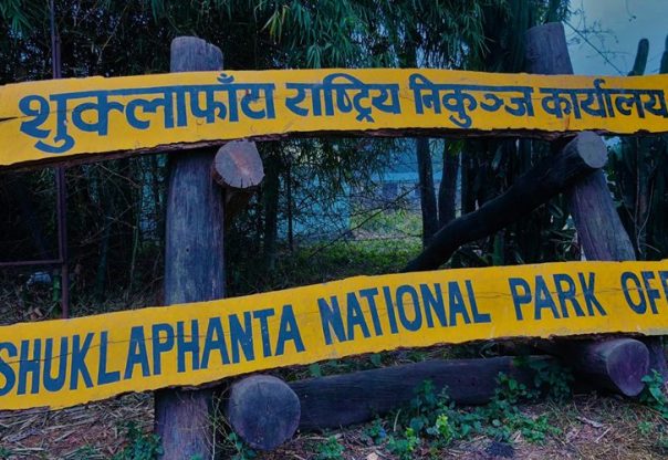 निकुञ्ज घुम्ने बाह्य पर्यटक घटे, आन्तरिक बढे निकुञ्ज घुम्ने बाह्य पर्यटक घटे, आन्तरिक बढे